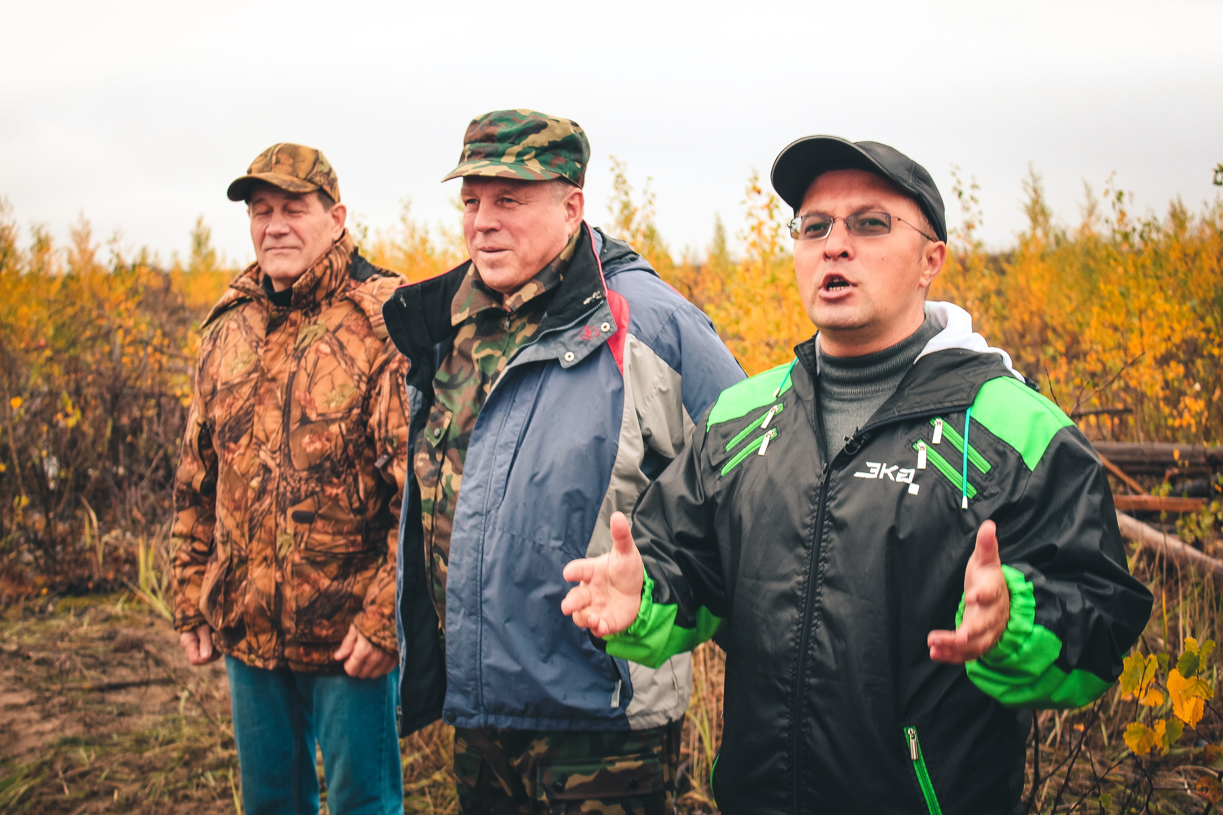 Посади лес 2016-2