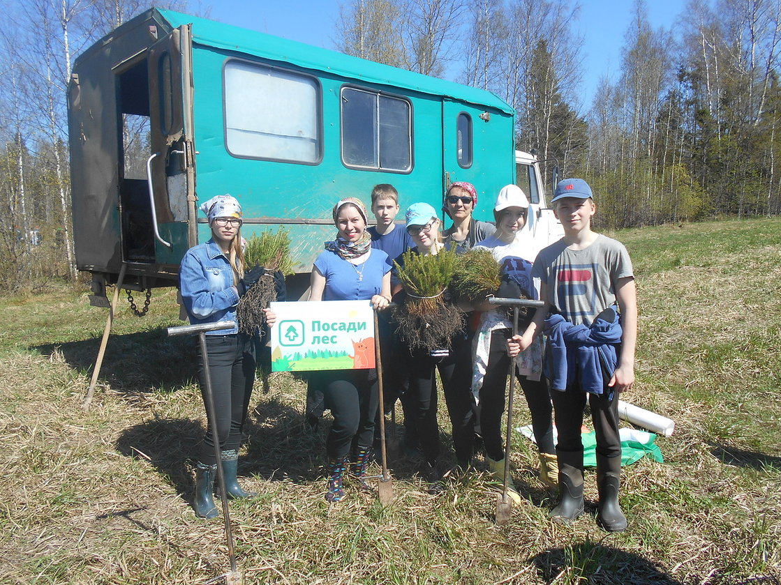вологда посадки
