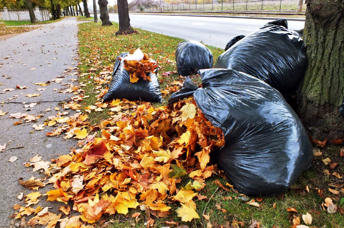 cf462b967e87dc89ab44e15ca7f4573c