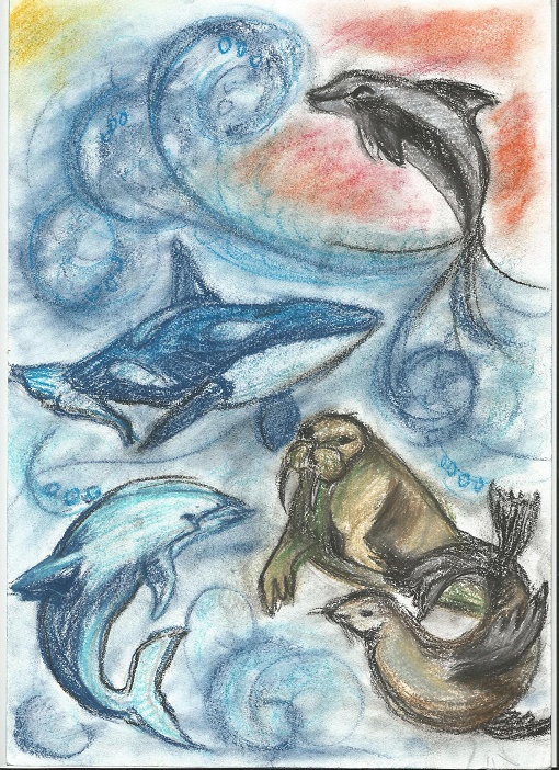 30076824767 1429b365ee o