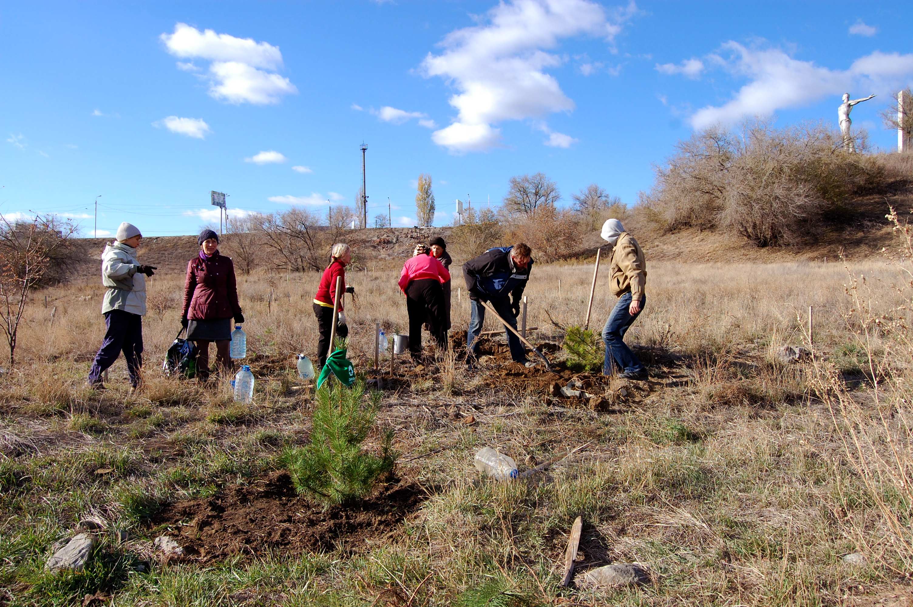 Посадкаспарт3