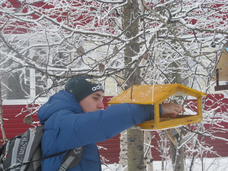 кормушка 150