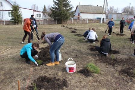 Копия Изображение 025