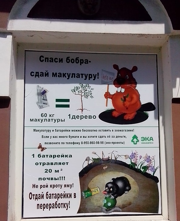 IMG 20150601 110150 122