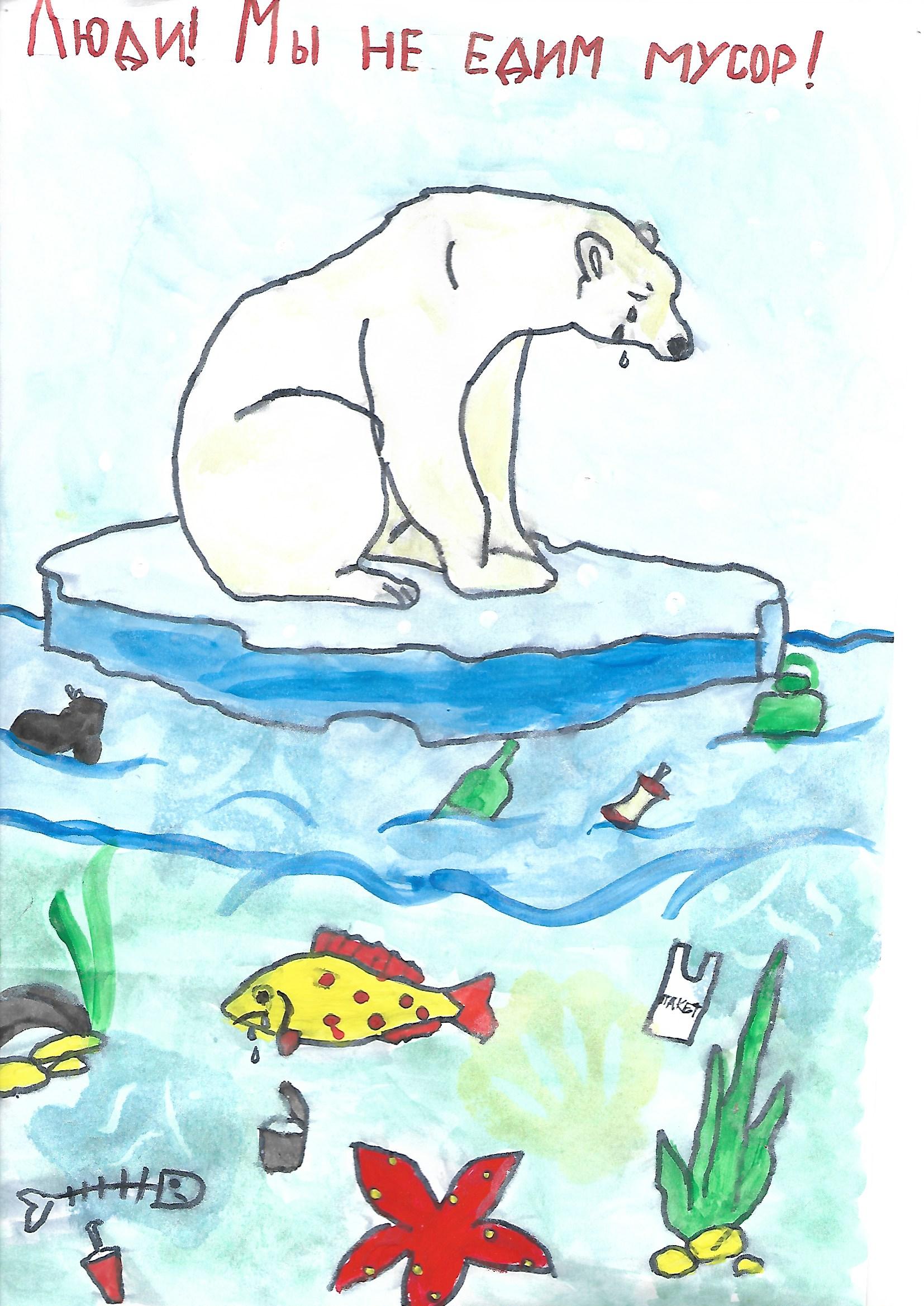 31121653648 8170c3576c o