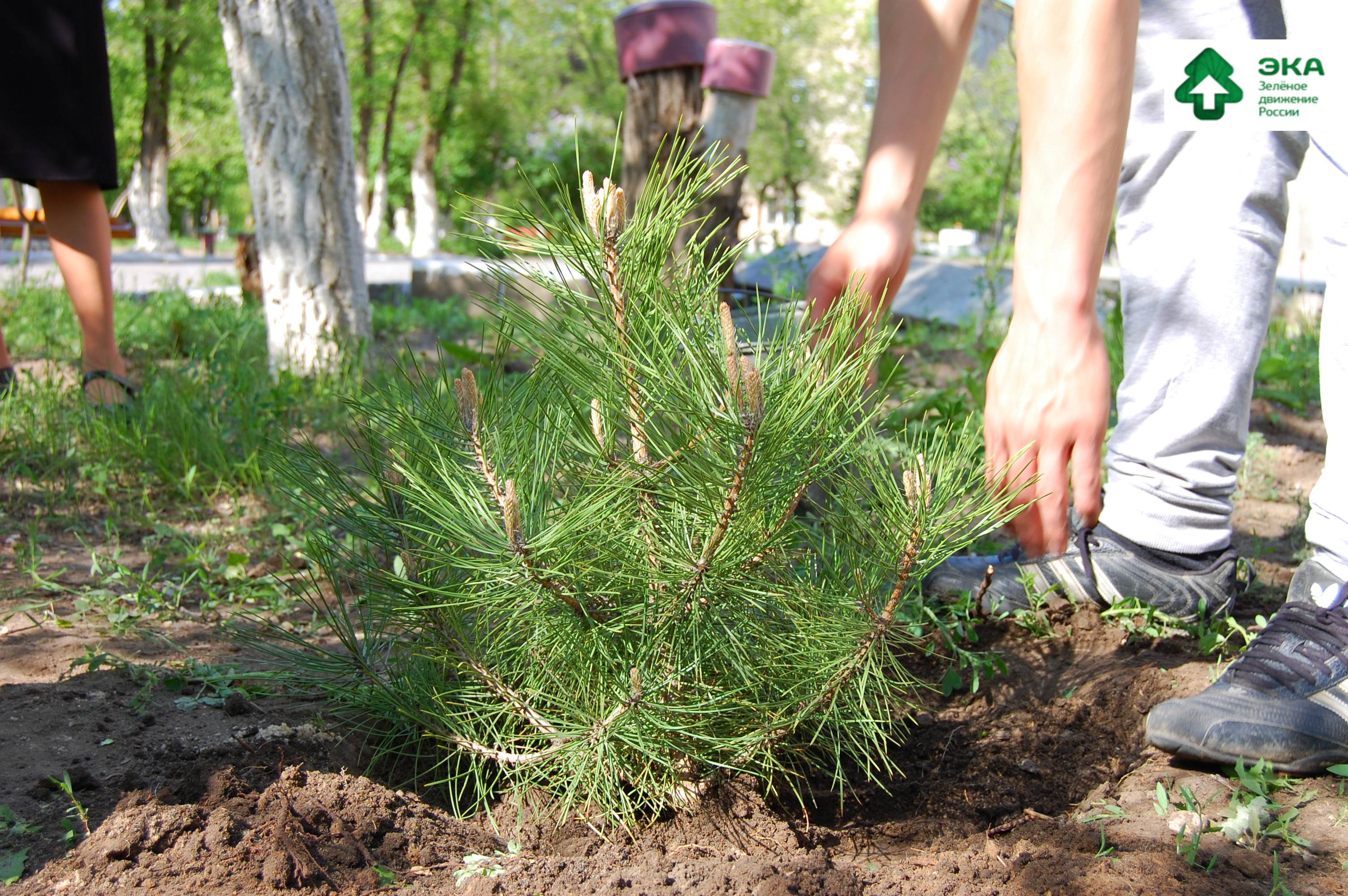 Фото 6 16 мая 2015