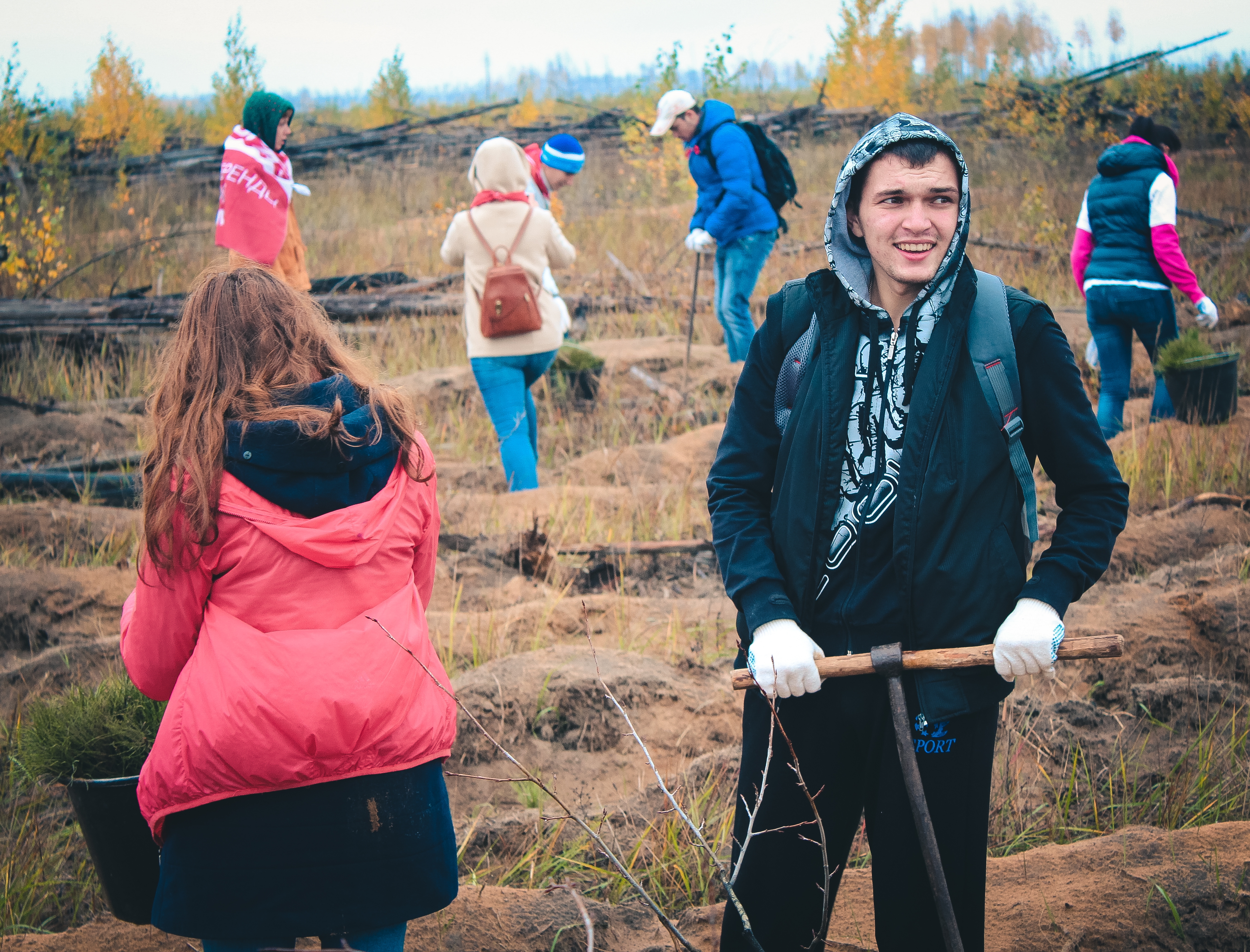 Посади лес 2016-4