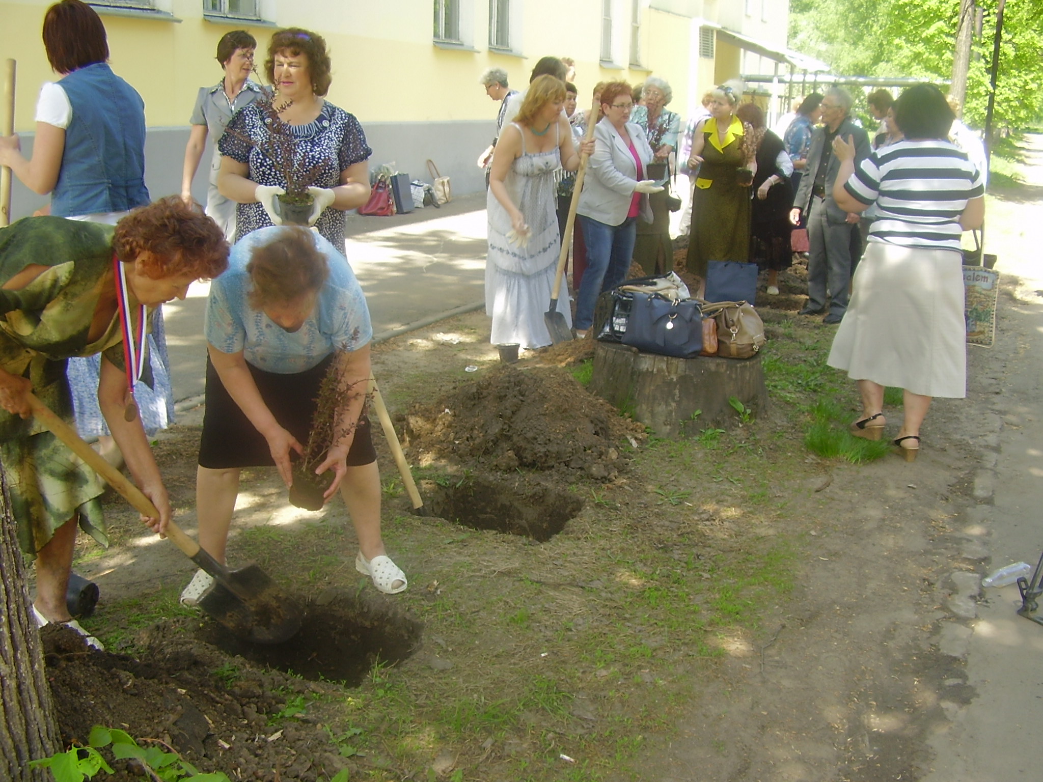 Дерево Дружбы