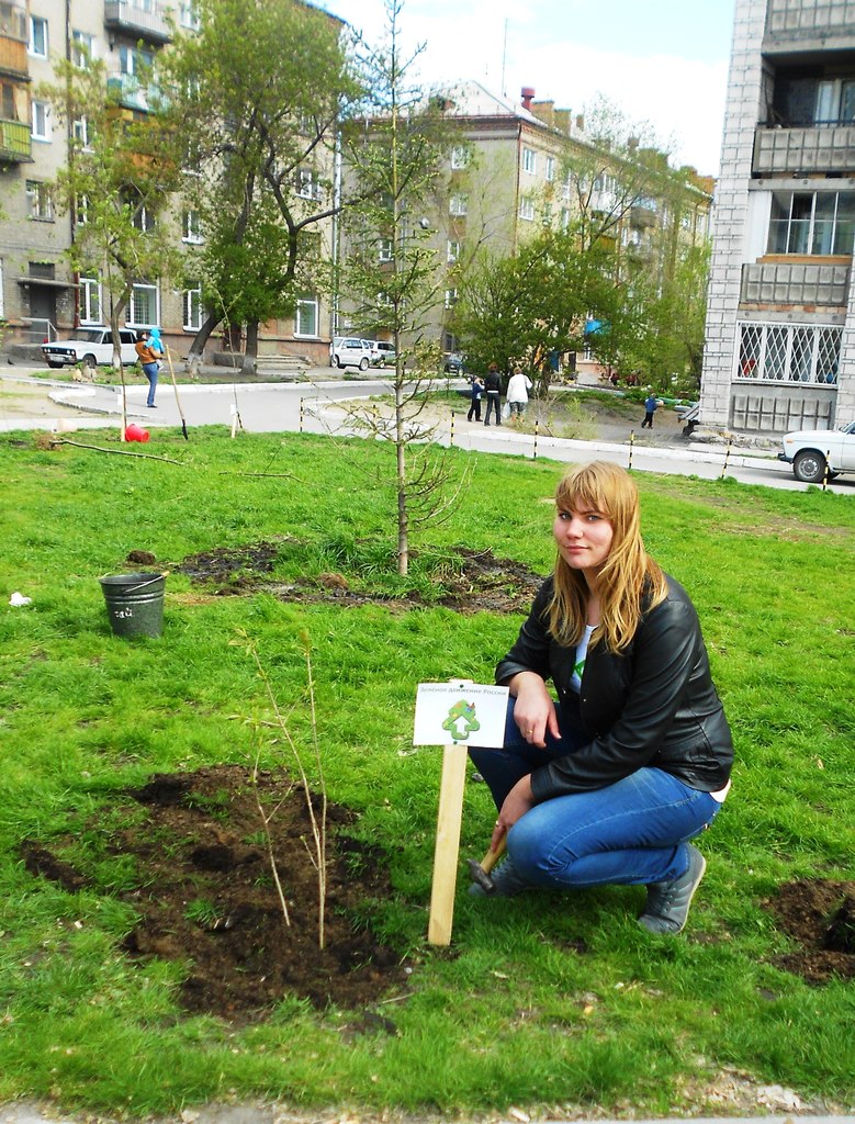 ЭКА-деревце