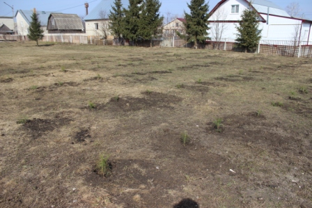 Копия Изображение 053