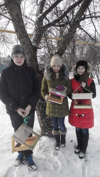 Кормушки СОШ 3