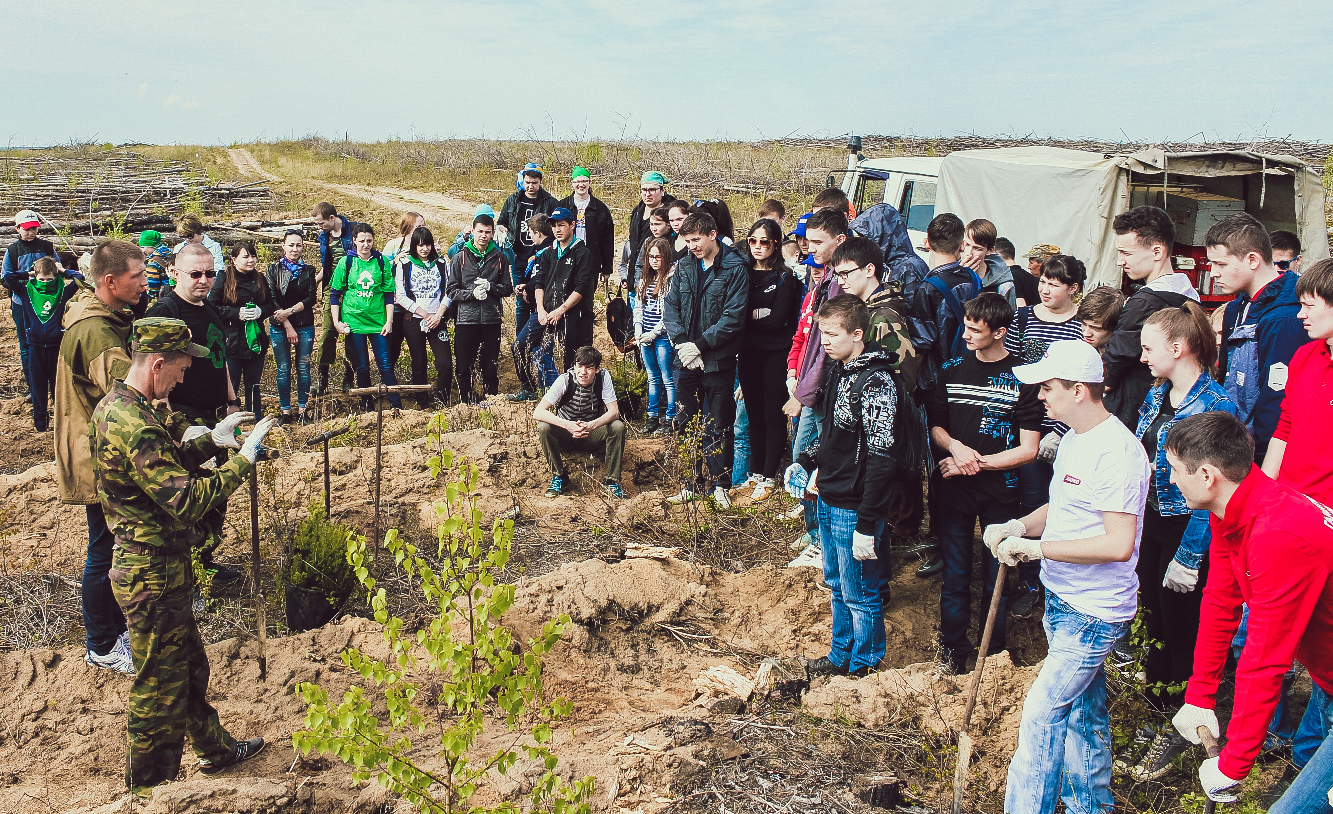 Посади лес 2016 1