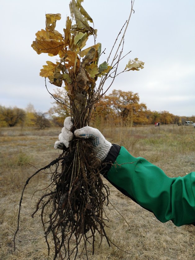 Волгоград осень п
