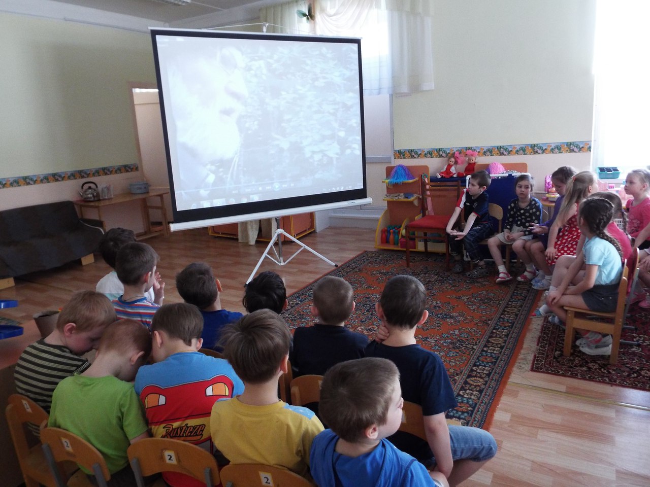 Международный день лесов