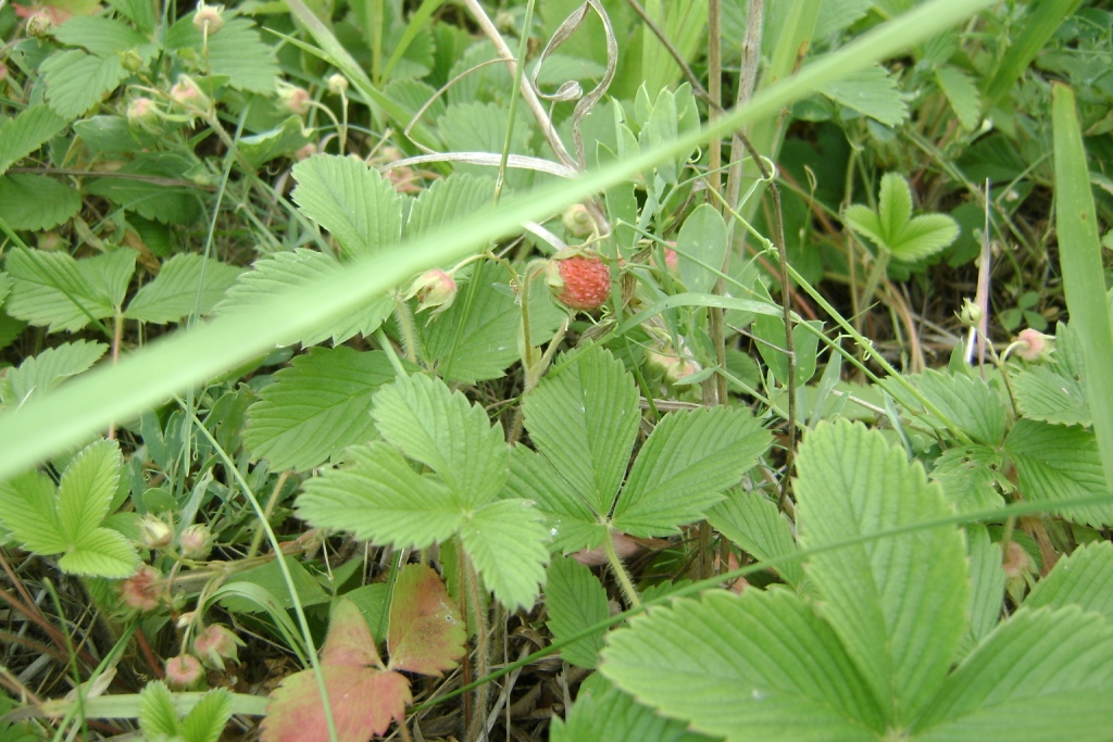 в заказнике