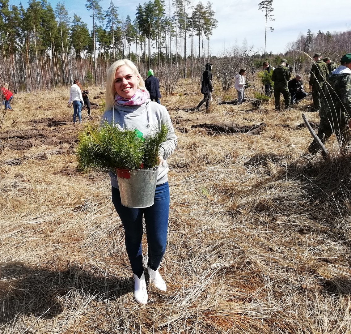 золотаревка 4