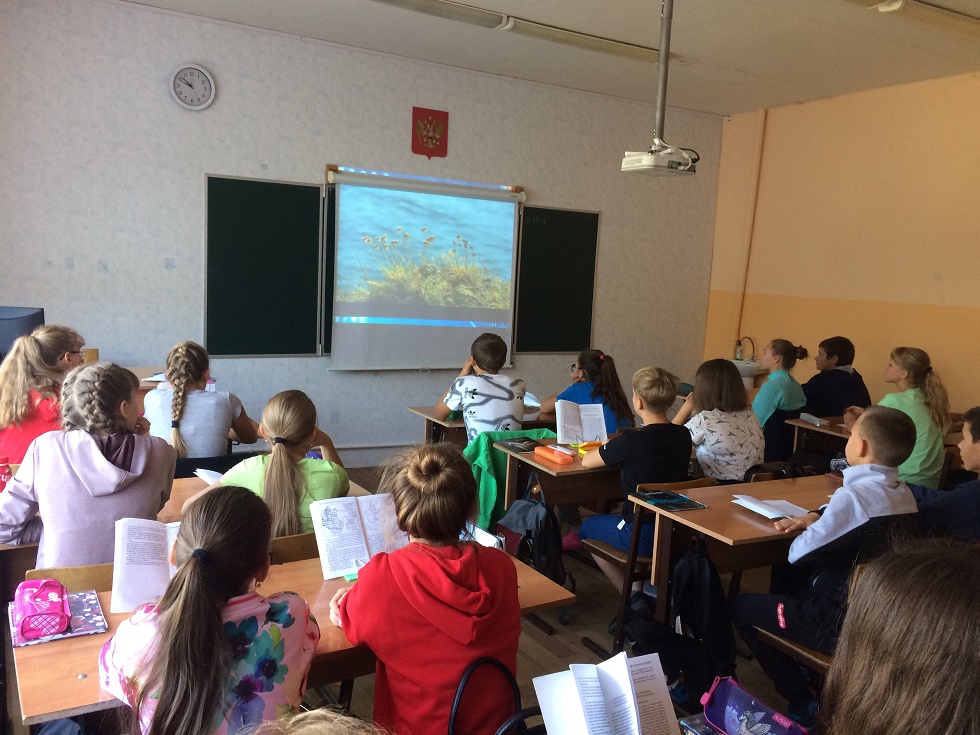 44090200960 fc58923b58 o