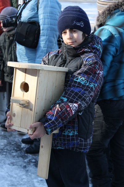 птицы ввввв