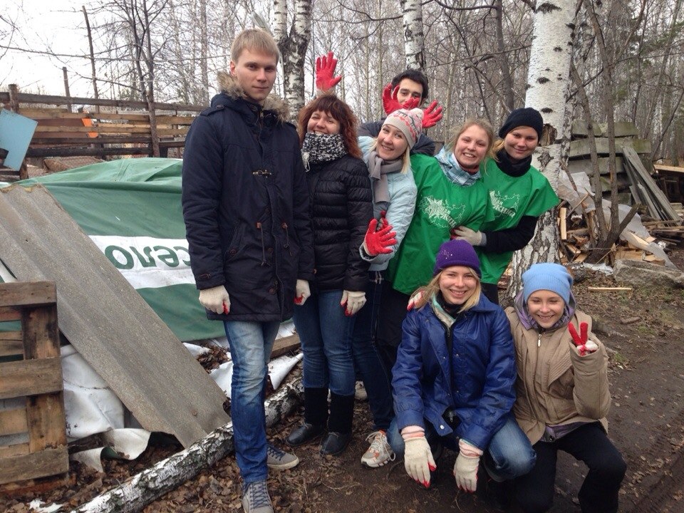 Работа в приюте