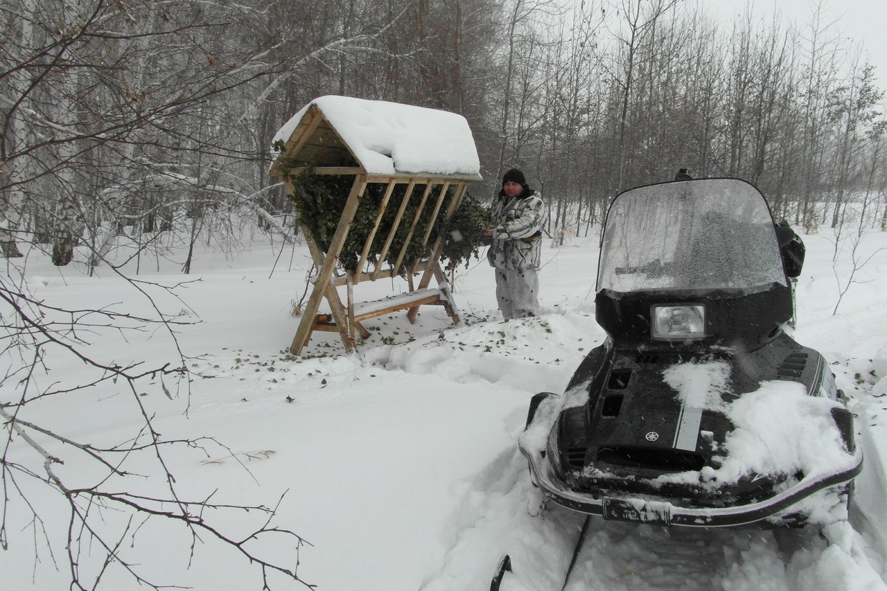 Кочковский район