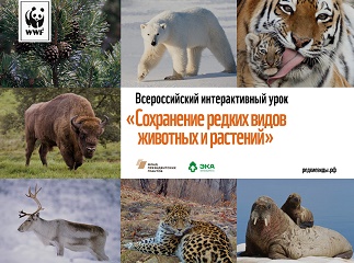 WWF ЭКА