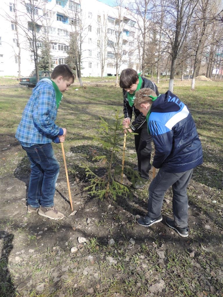 Шум Сохраним 2