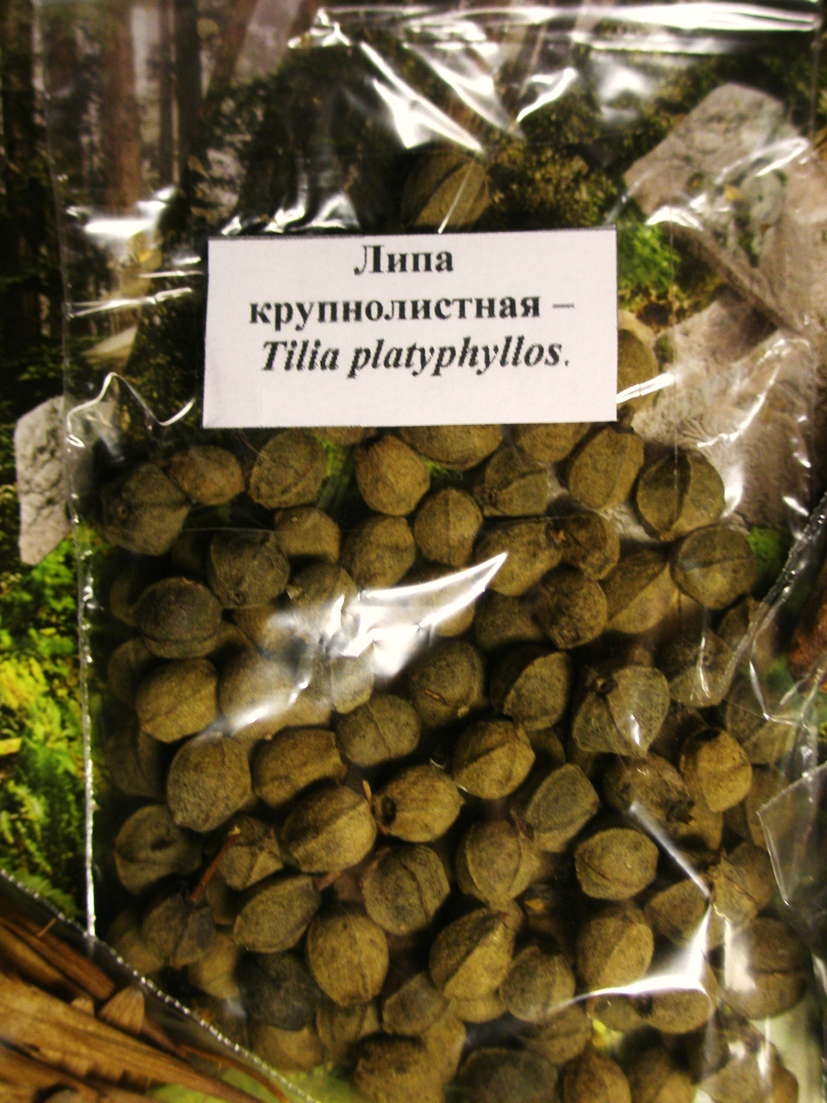 P1011808