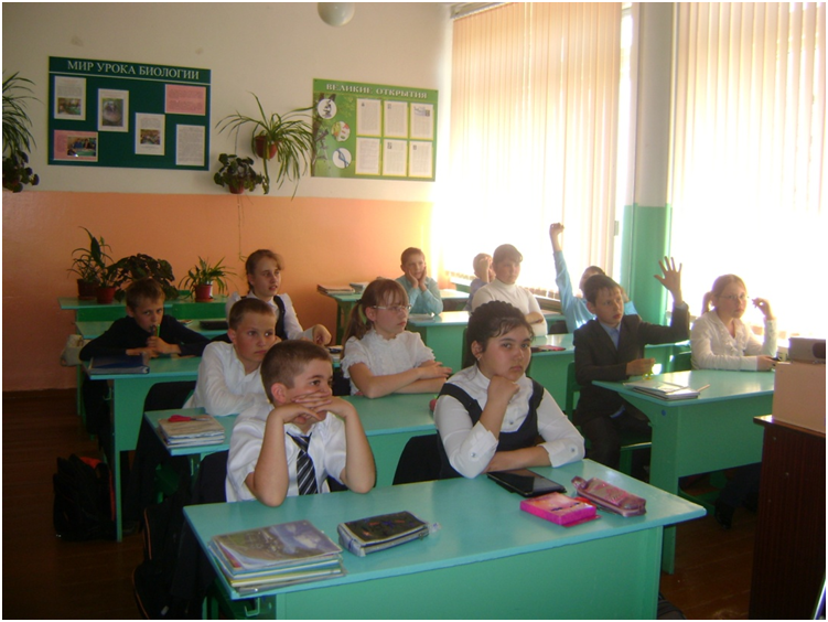 Новый рисунок 16