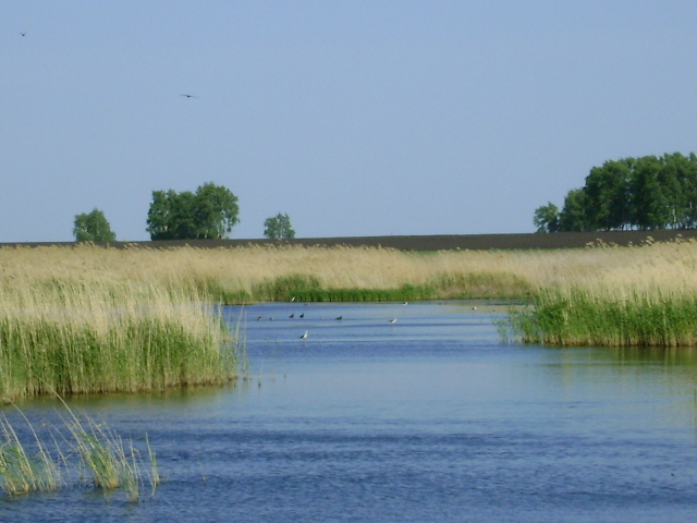 Охотничьи уодья