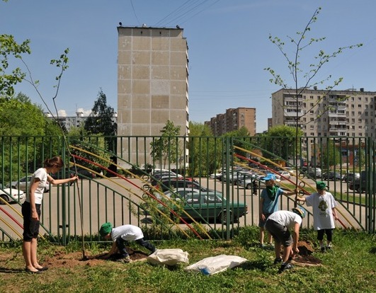 DSC 3541 новый размер