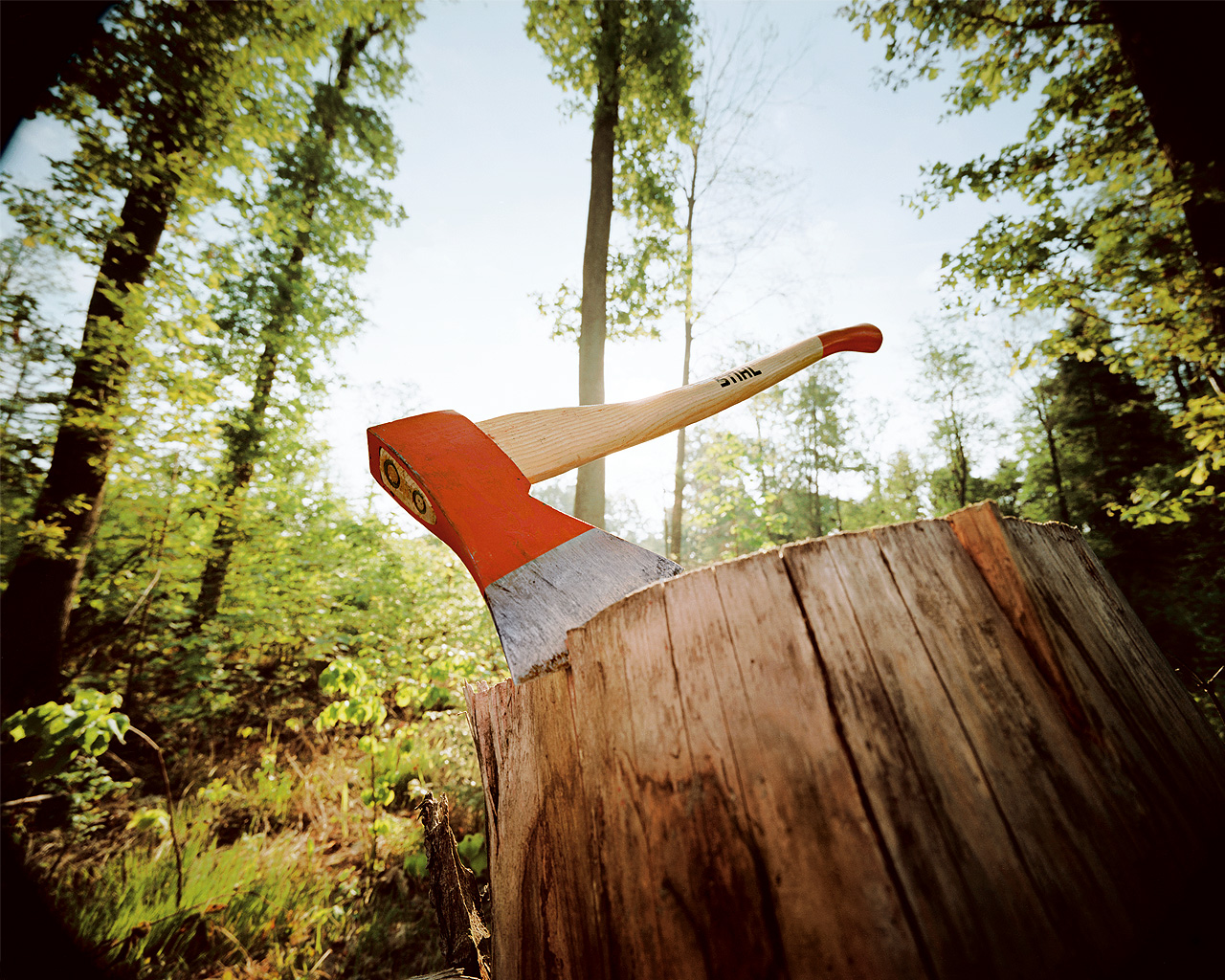 1308123176 rubka-derevev