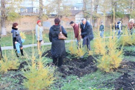 IMG 6255 - копия