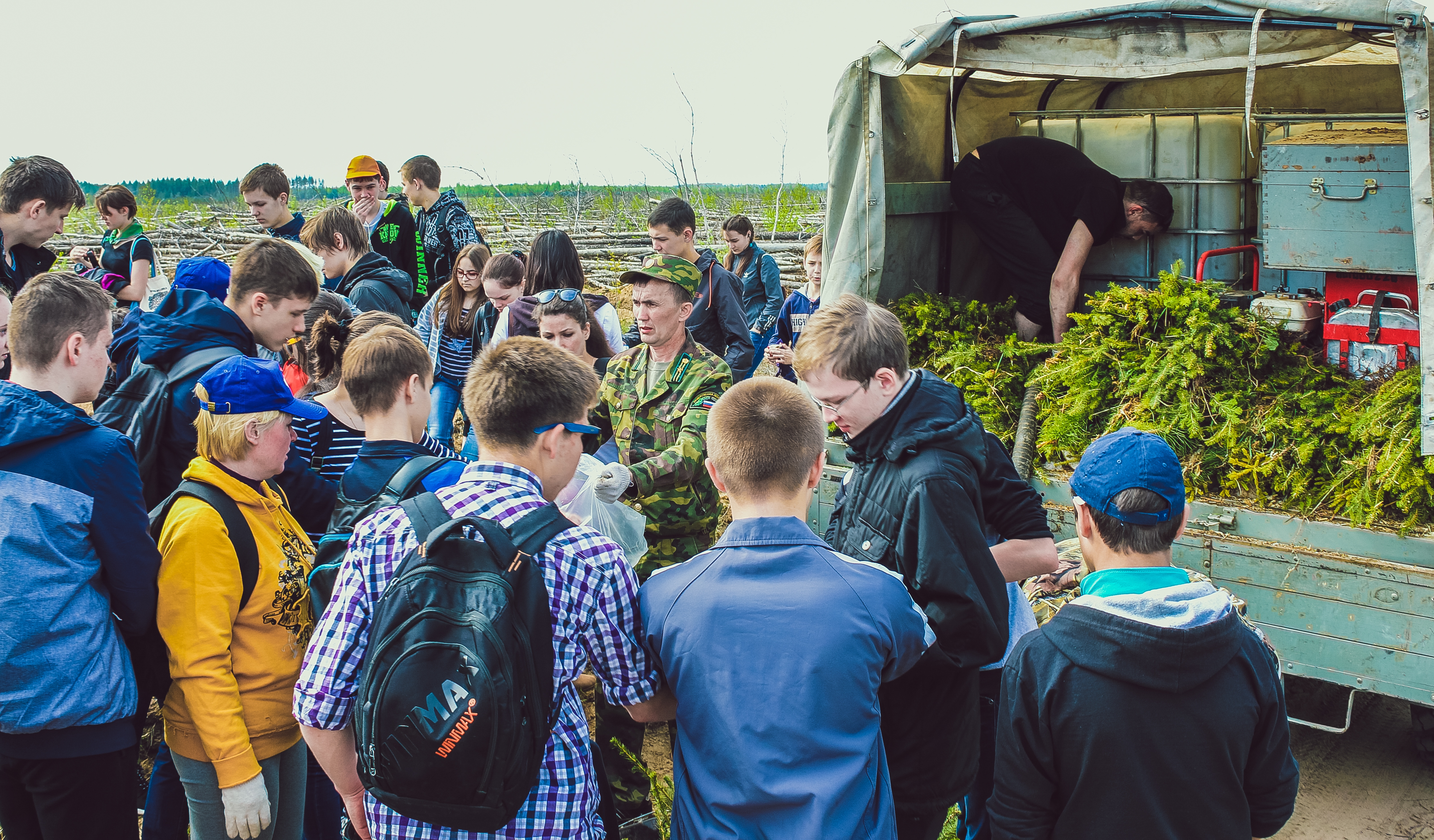 Посади лес 2016 2