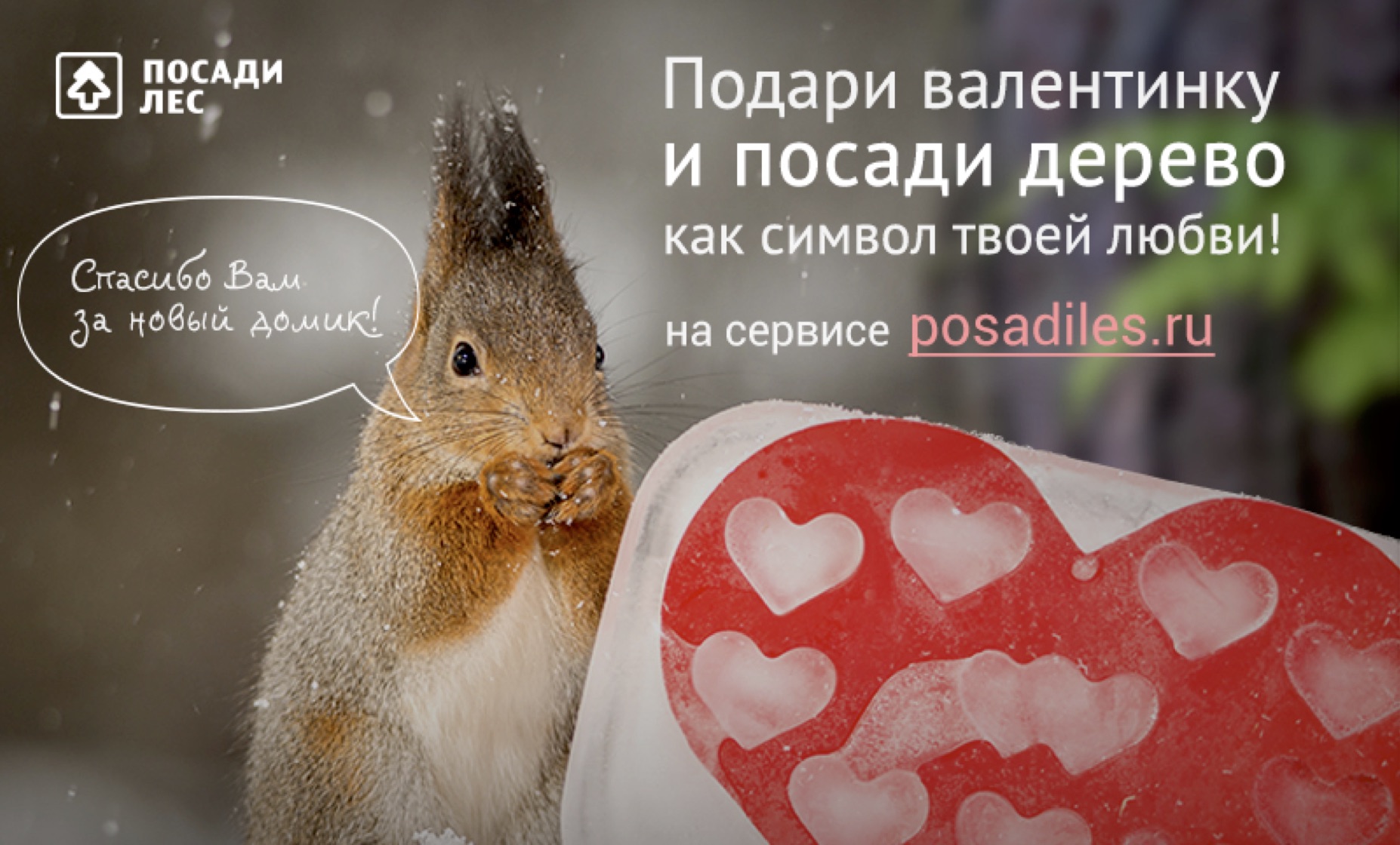 День Св Валентина 1