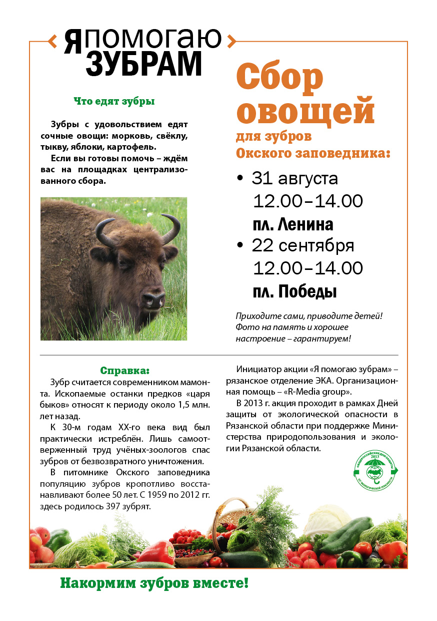 Листовка зубры-оборот