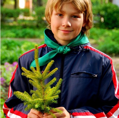 посадки сайт