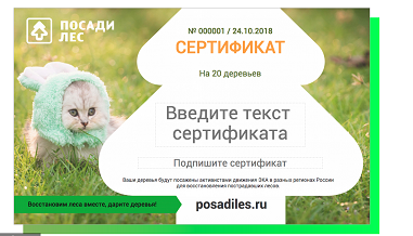 Снимок экрана 2018-10-24 в 13.02.36