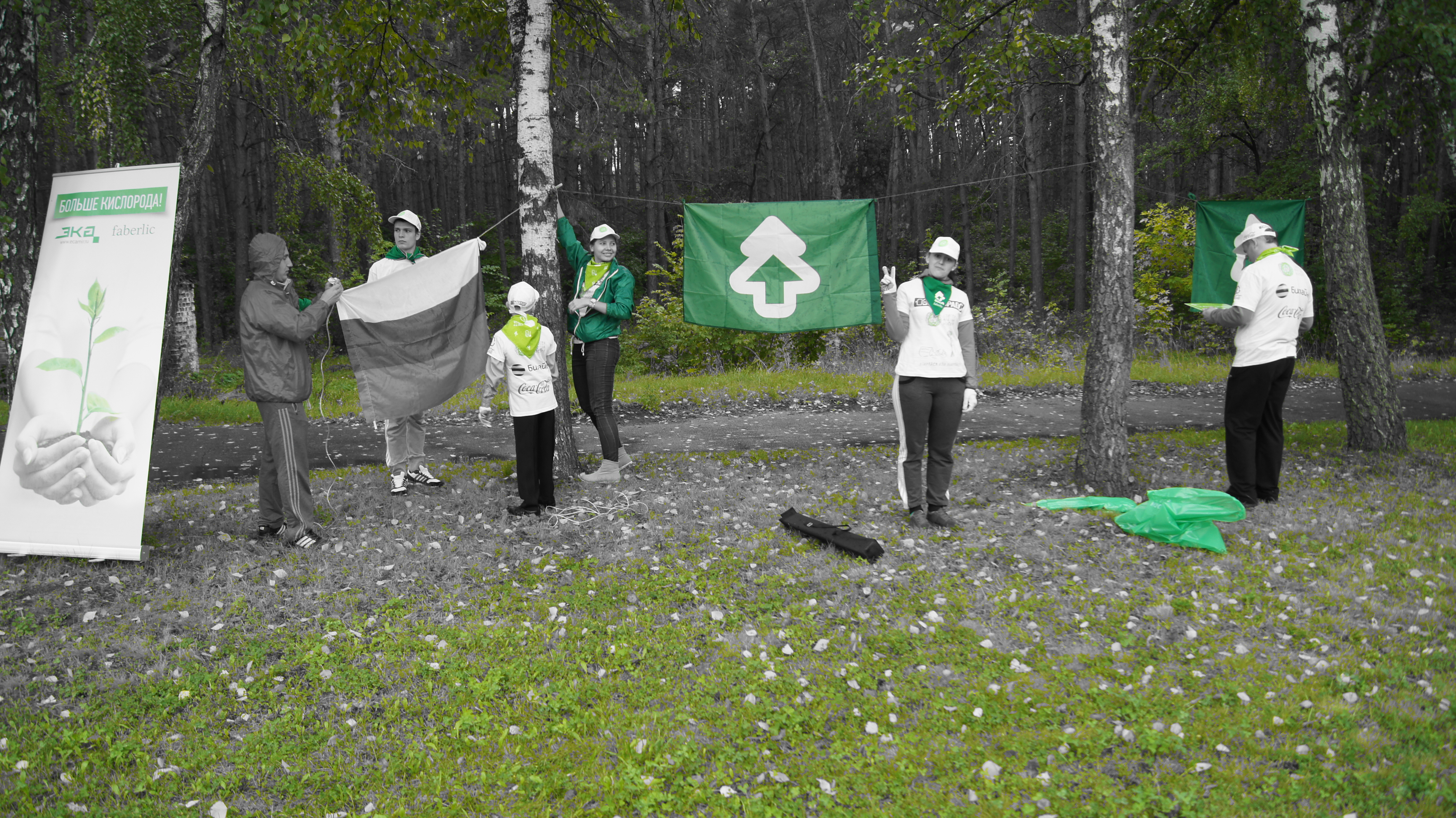 DSC01775 - копия