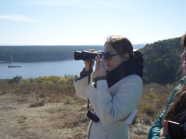 Наблюдения птиц в г. Белгород