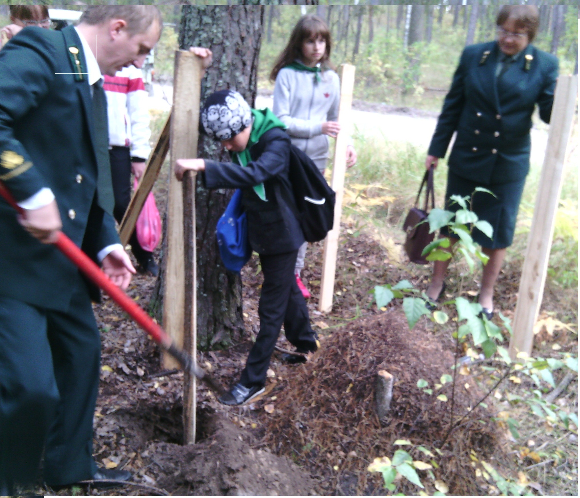 муравейник