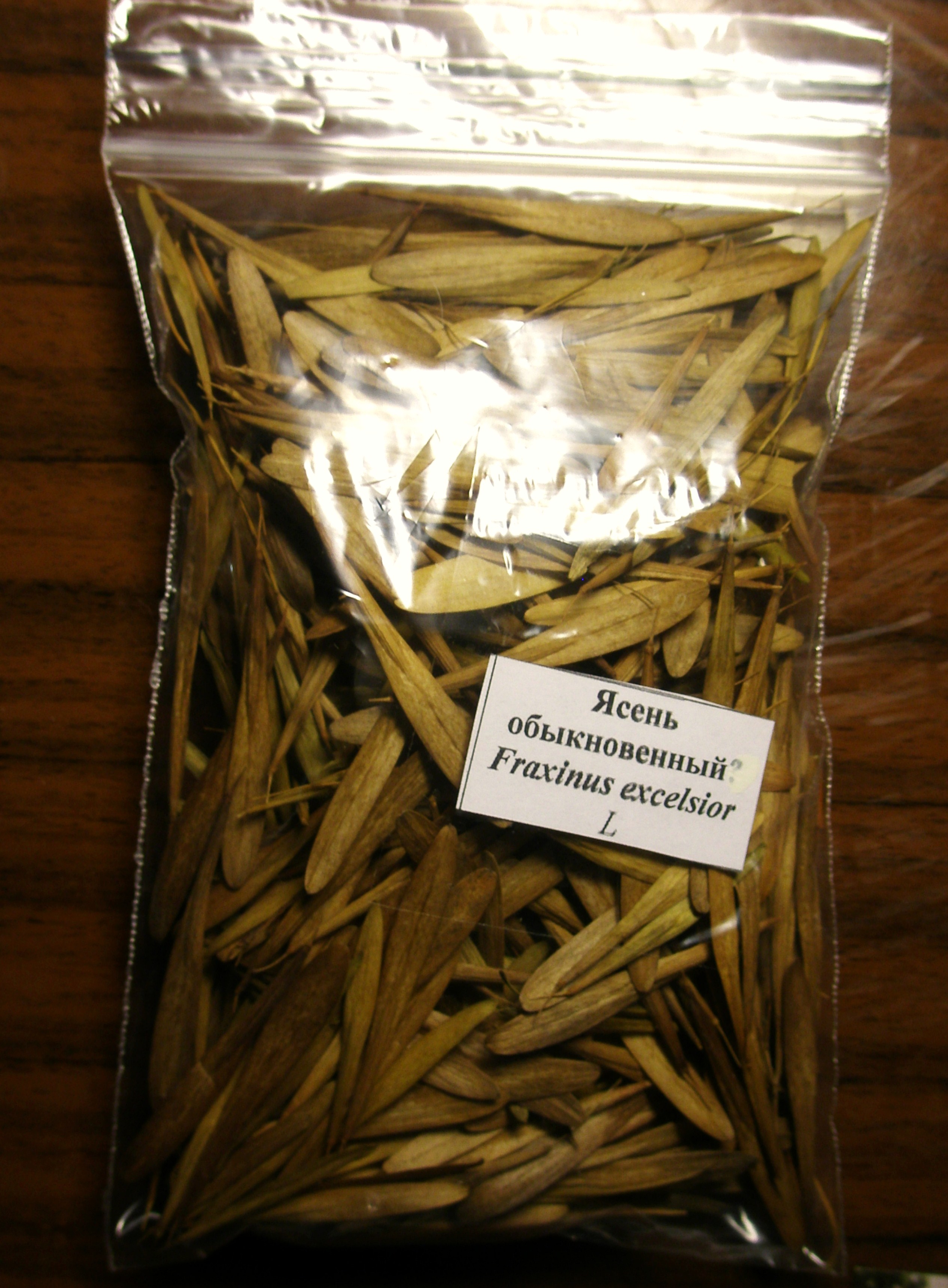 P1011817