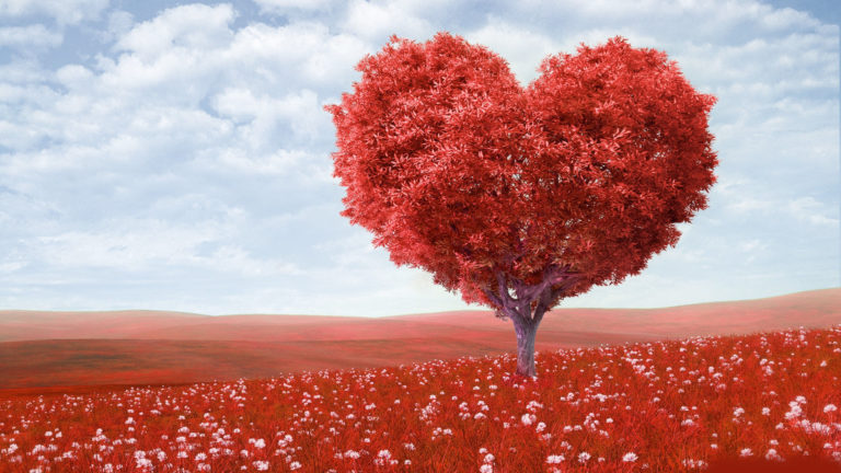 сердцее-768x432