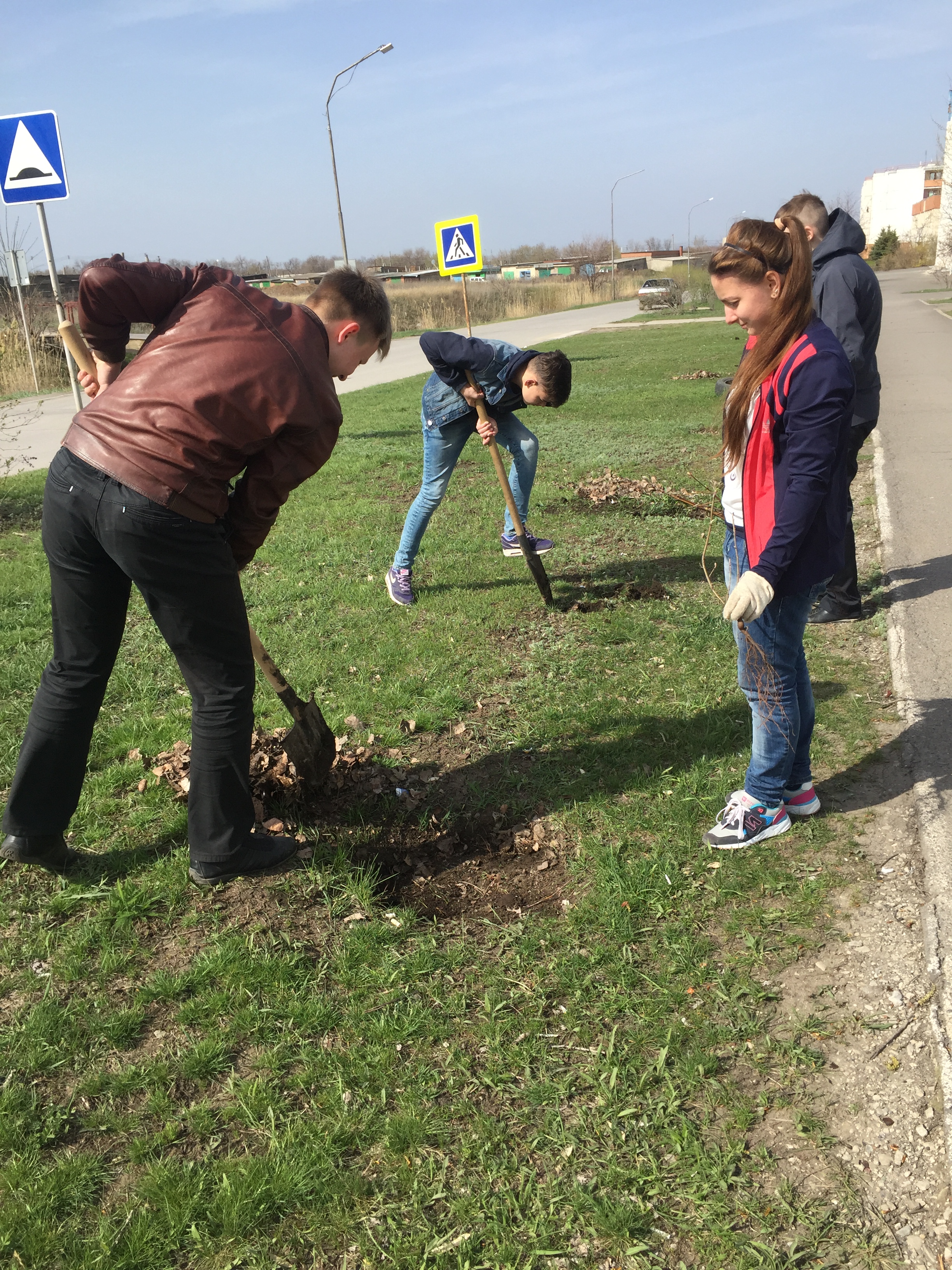 древонасаждение