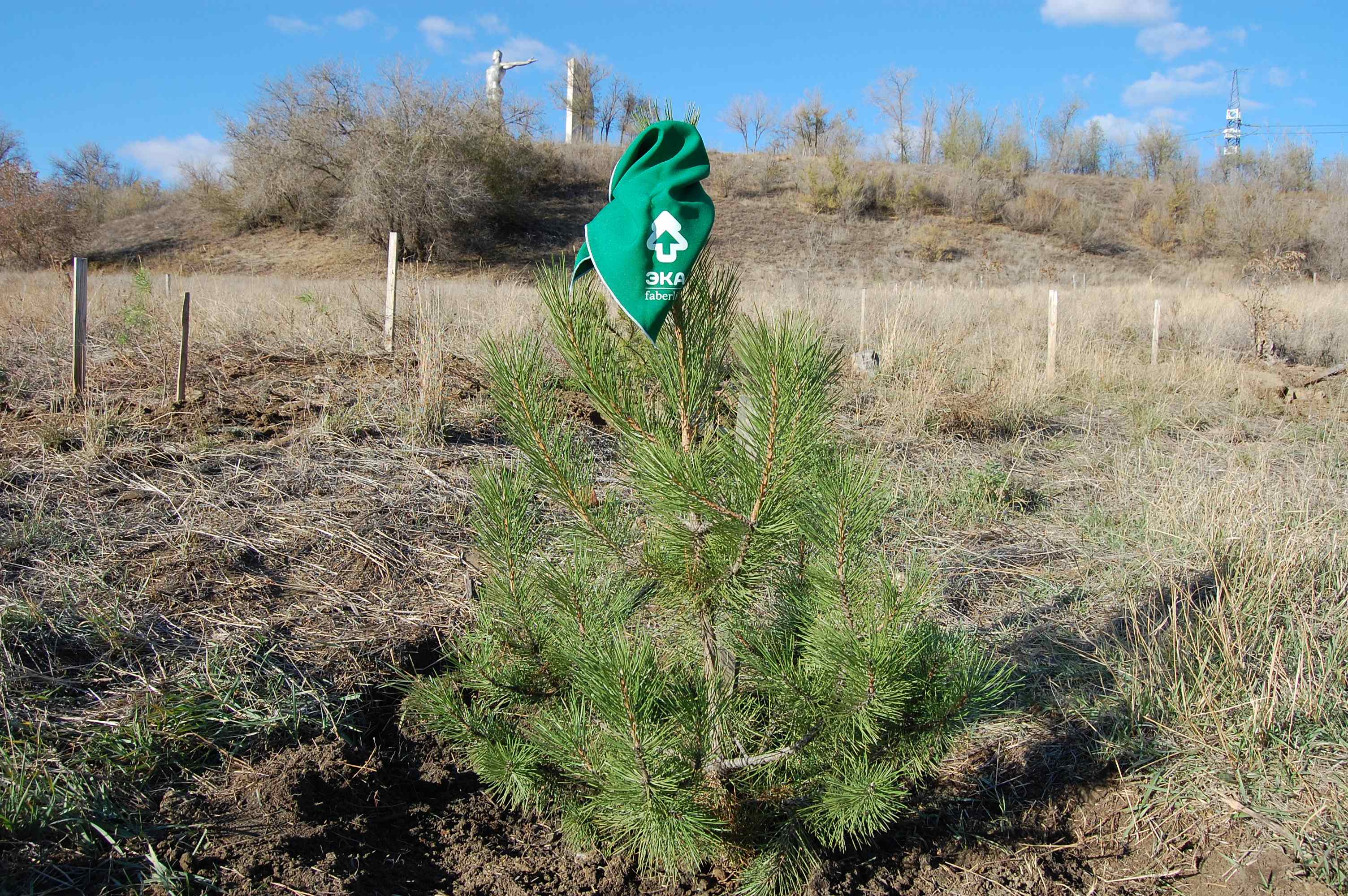 Посадкаспарт5