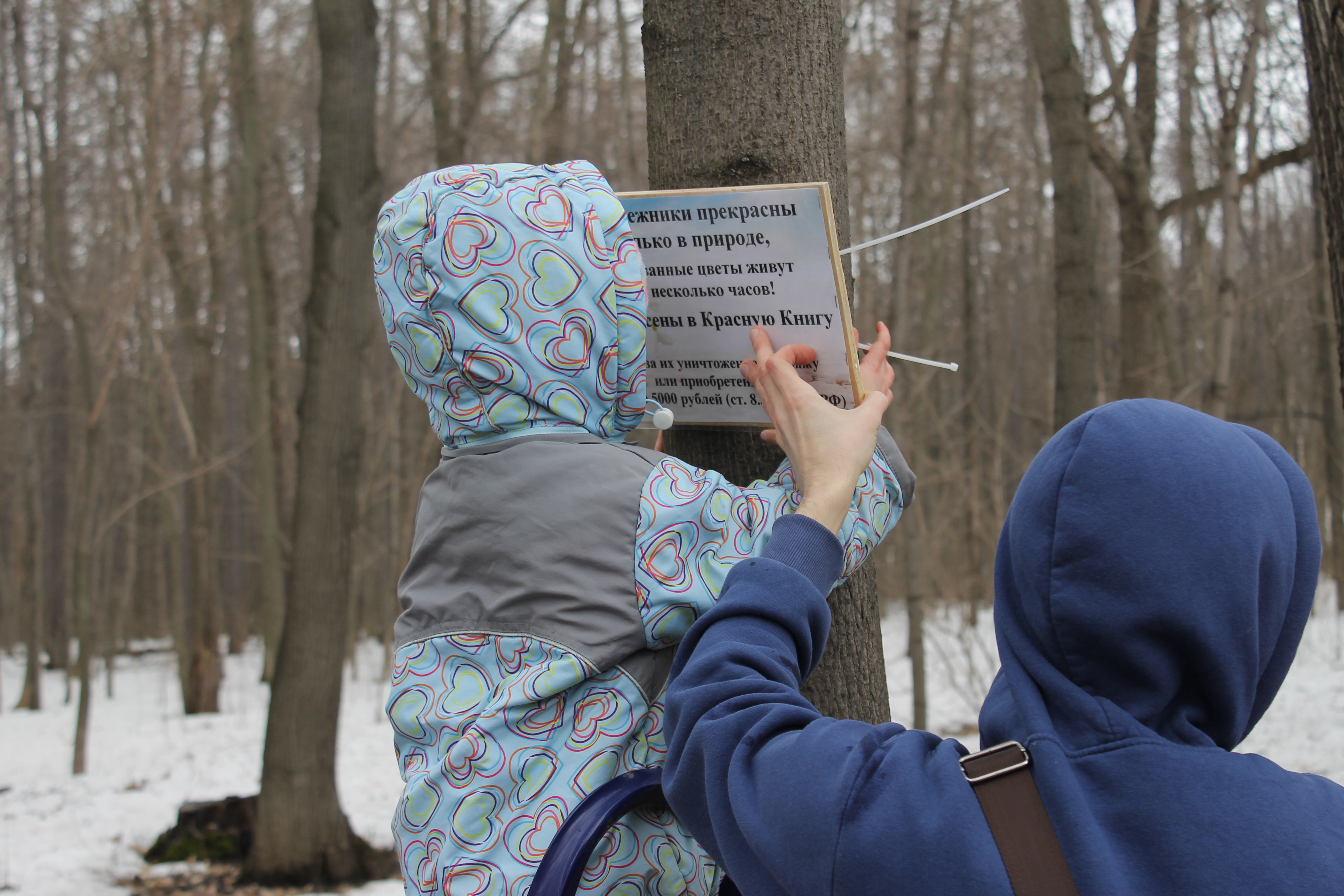 Копия подснежники 027