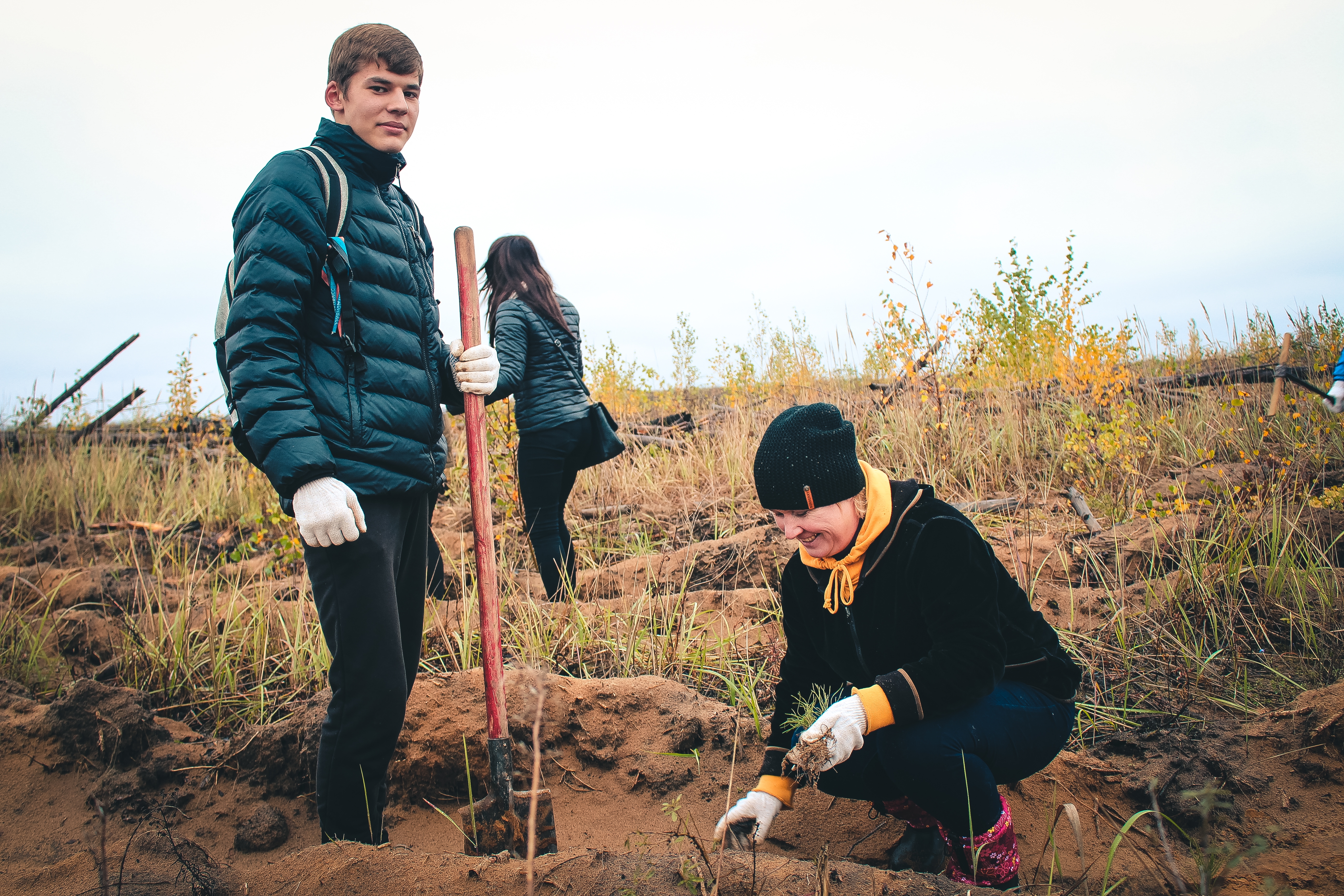 Посади лес 2016-5