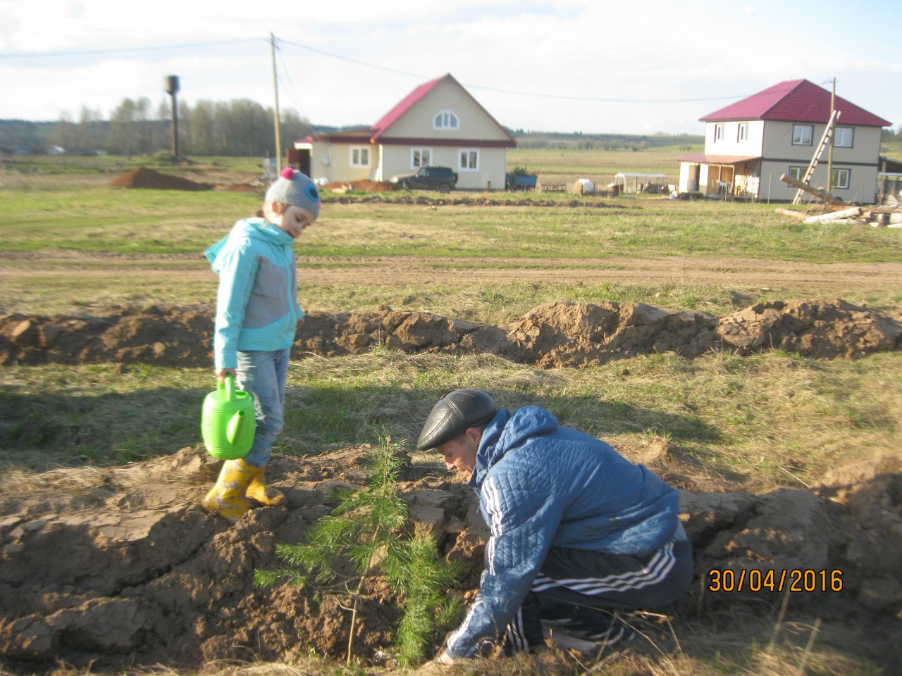 Посади дерево