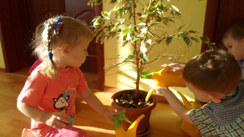 Эко неделя 1