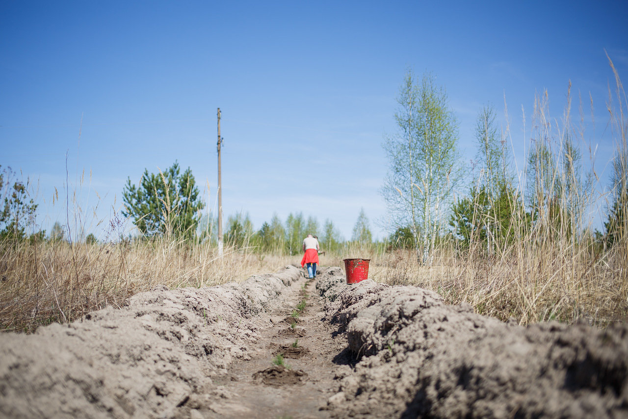 мордовия посадки 5