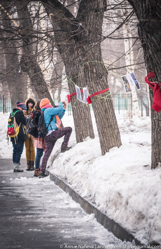 483929 513562435367322 1251770587 n